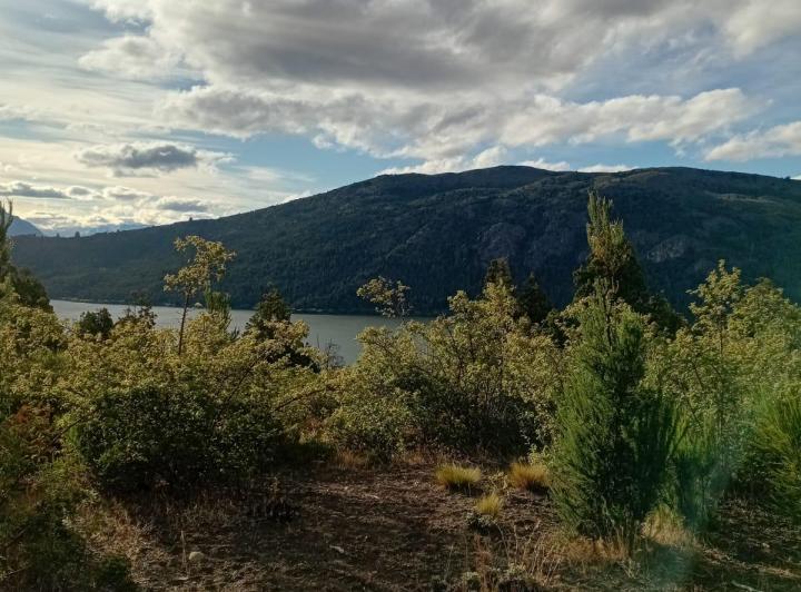 Terreno · 10000m²