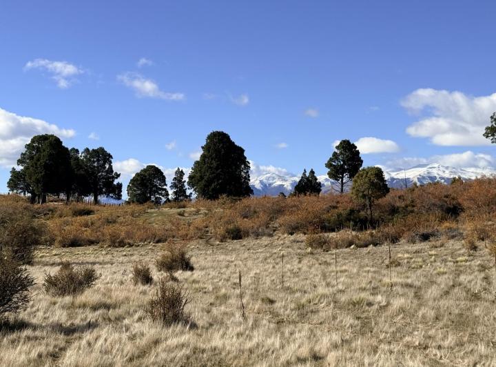 Terreno · 10000m²