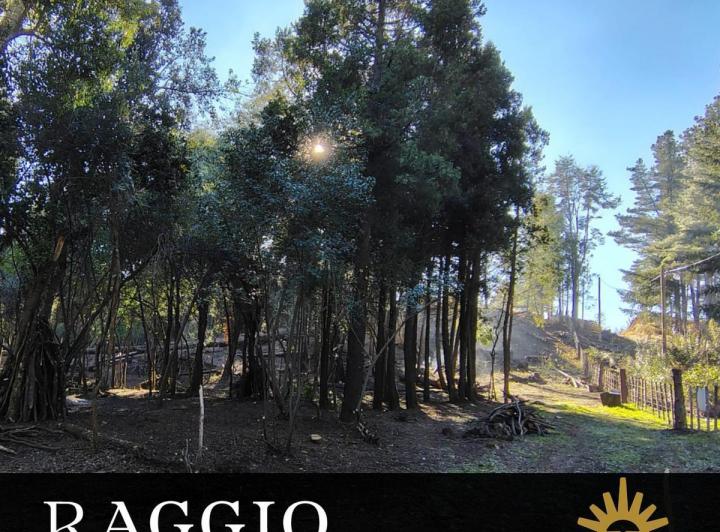 Terreno · 1600m²