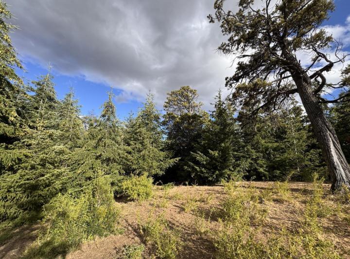 Terreno · 10000m²
