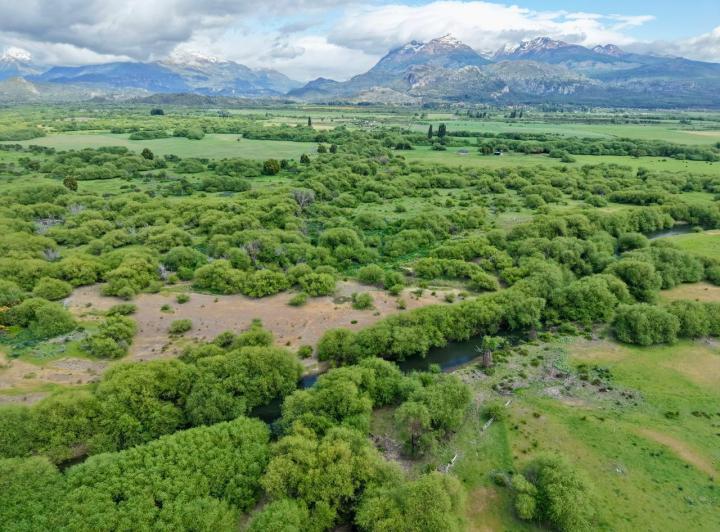Terreno · 72020m²