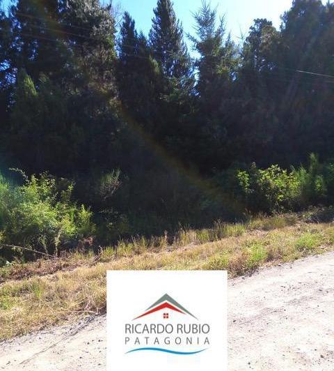 Campo · 10000m²