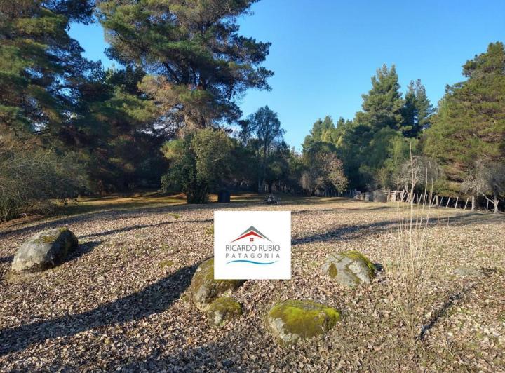 Campo · 5000m²