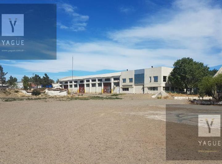 Bodega-Galpón · 15000m²