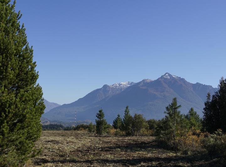 Terreno · 800m²