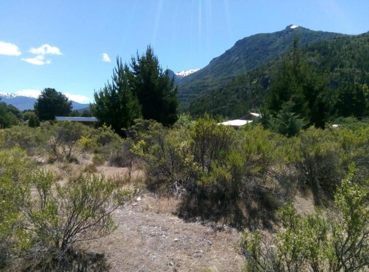 Campo · 5000m²