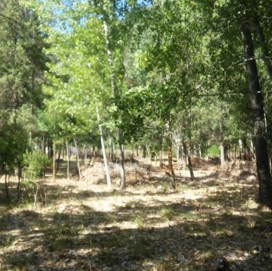 Terreno · 10000m²