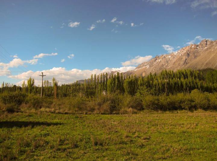 Campo · 20000m²