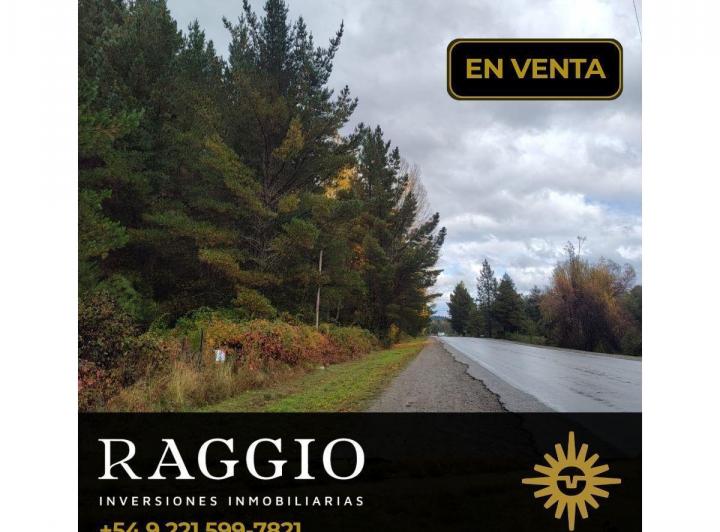 Terreno · 5081m²