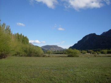 Campo · 50000m²