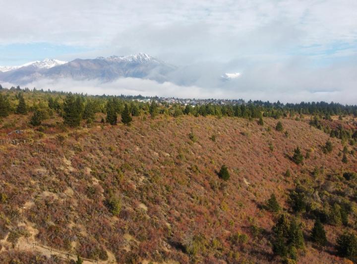 Campo · 120m² · 4 Ambientes