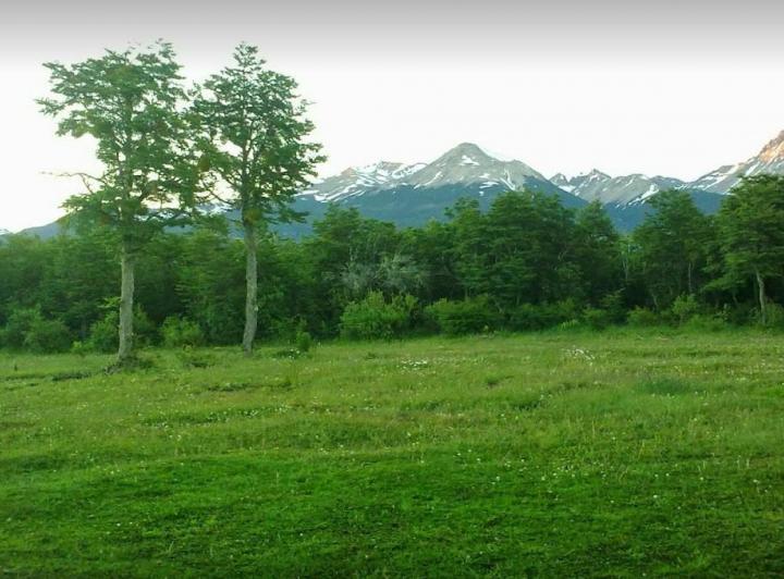 Campo · 28000m²