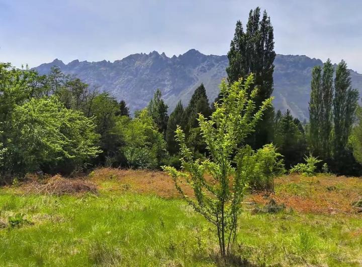 Terreno · 3100m²