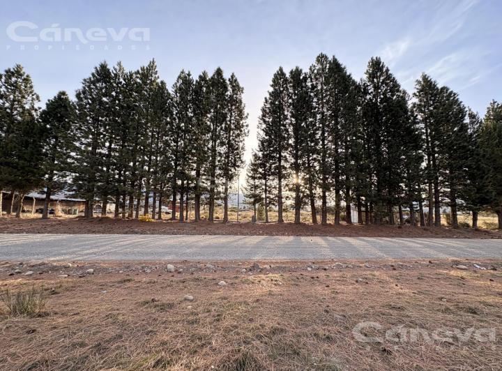 Terreno · 725m²