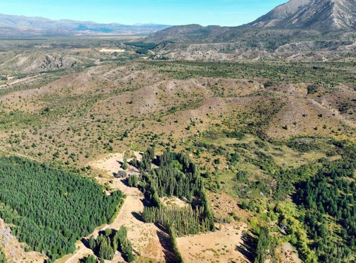Campo · 1250ha