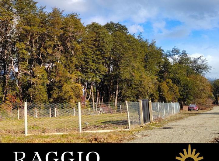 Terreno · 1291m²