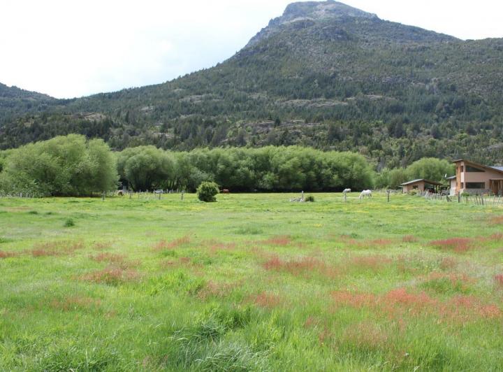 Campo · 14000m²