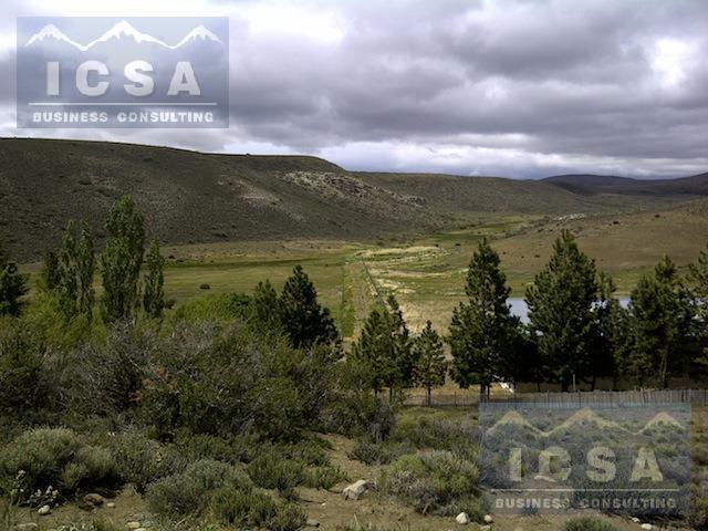 Campo · 6900ha · 4 Dormitorios