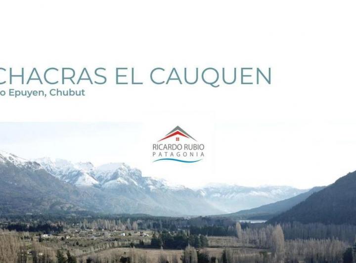 Campo · 5000m²