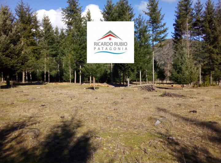 Terreno · 2500m²