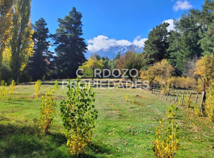 Terreno · 5000m²