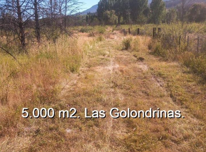 Terreno · 5000m²