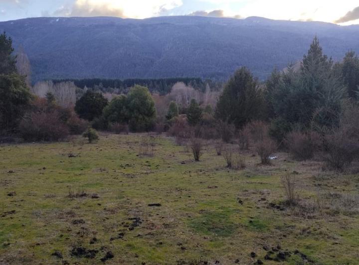 Campo · 20000ha