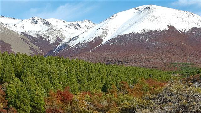 Campo · 200m² · 5 Ambientes · 4 Cocheras