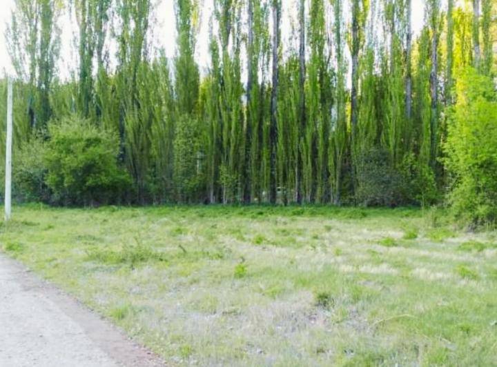 Terreno · 1000m²