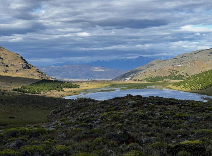 Campo · 15000ha