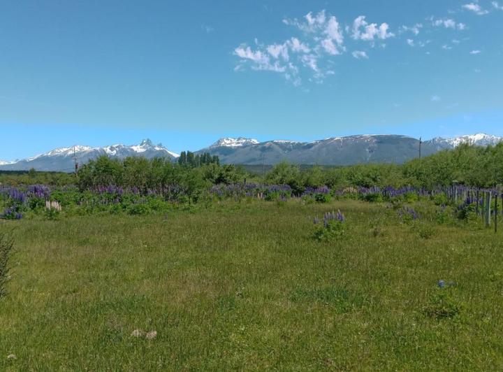Campo · 2500m²