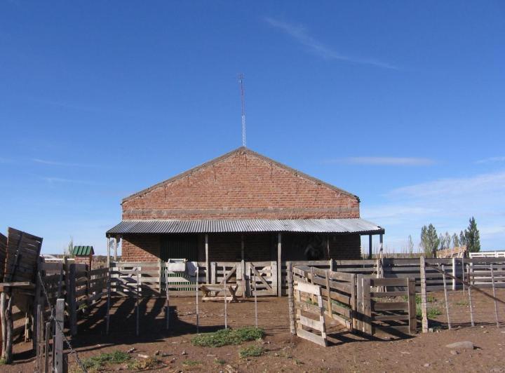 Campo · 230000000ha