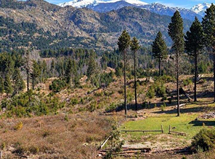 Terreno · 9017m²