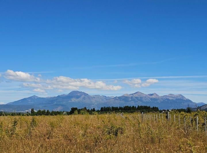 Campo · 2ha