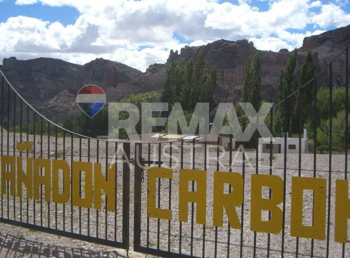Campo · 13236ha