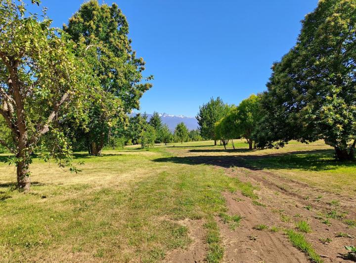 Campo · 20000m²