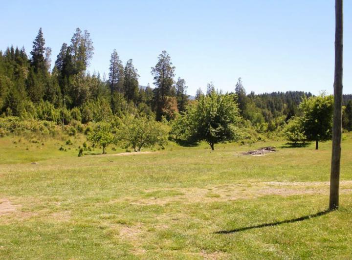 Campo · 15000ha