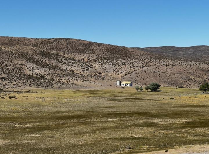 Campo · 150000000ha