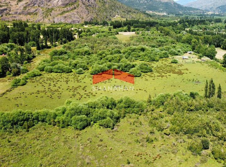 Campo · 50000m²