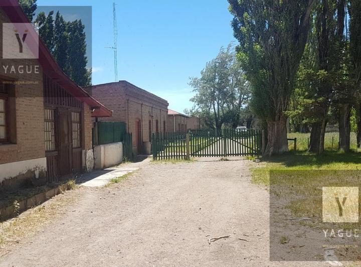 Campo · 6000ha