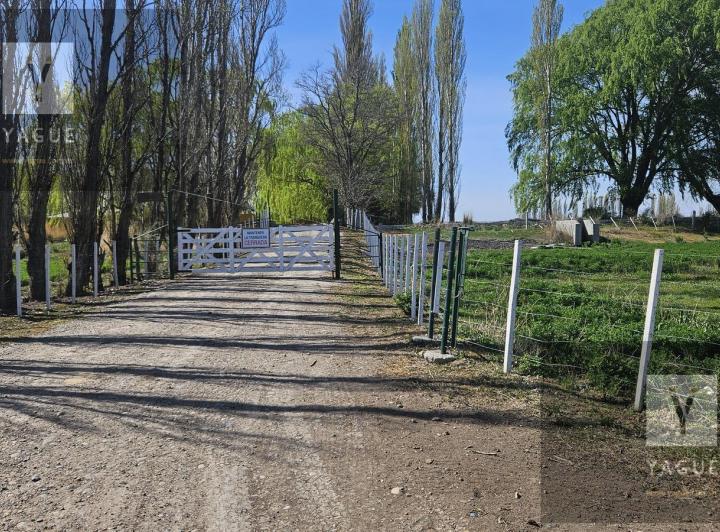Campo · 500m² · 5 Ambientes · 5 Cocheras