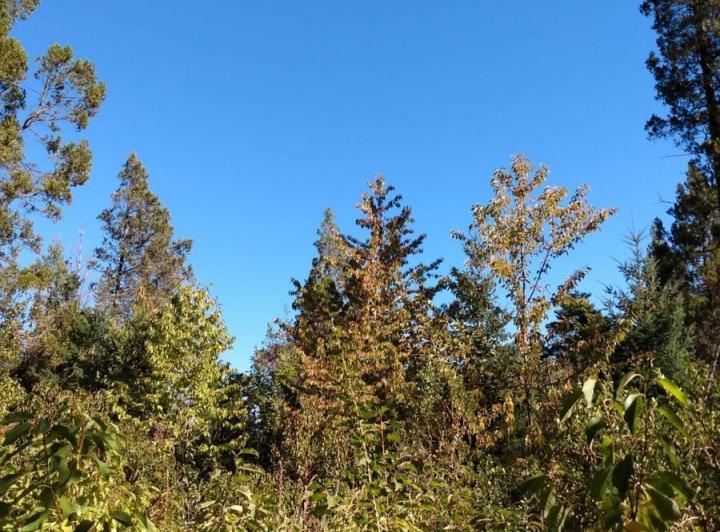 Terreno · 500m²