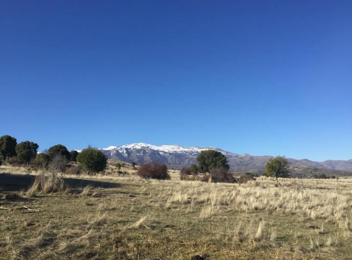 Campo · 62ha · 3 Ambientes