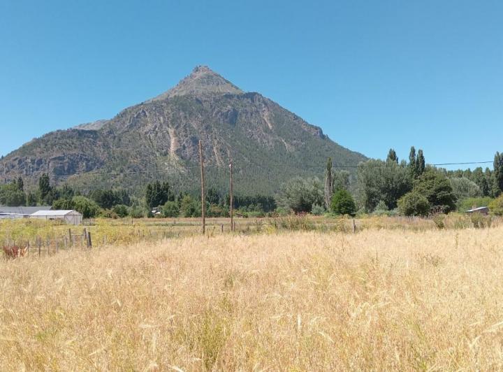Campo · 10000m²