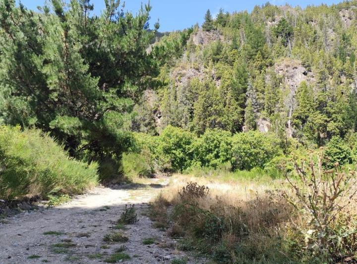 Terreno · 1800m²