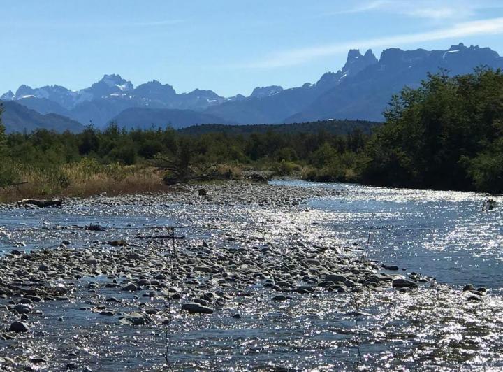 Campo · 400ha
