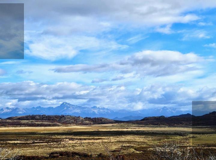 Campo · 60ha · 2 Ambientes