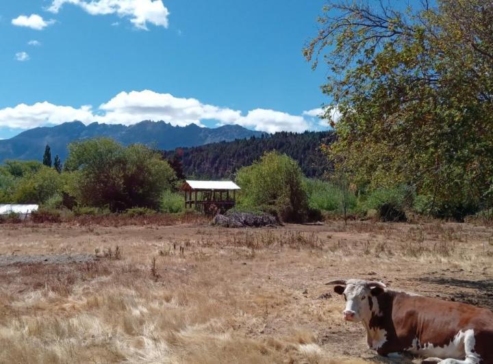 Terreno · 1800m²