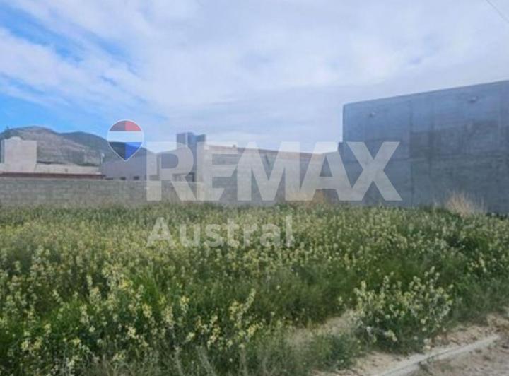 Terreno · 361m²