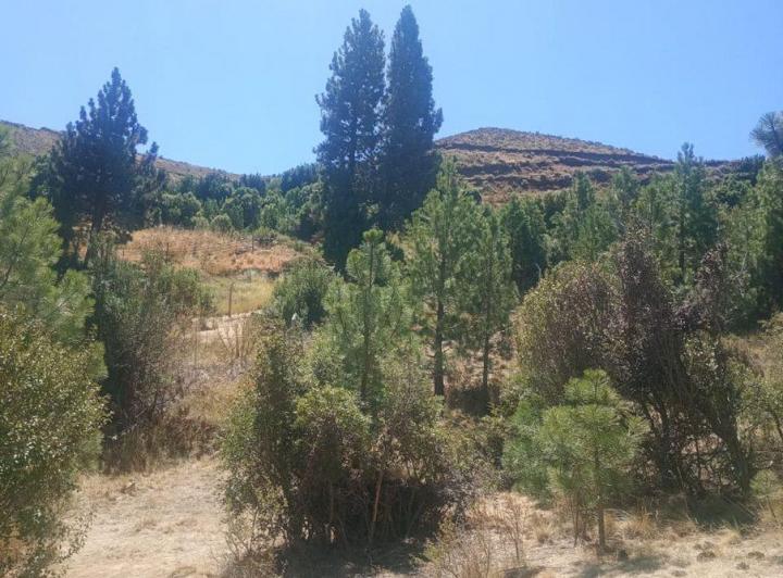 Terreno · 790m²